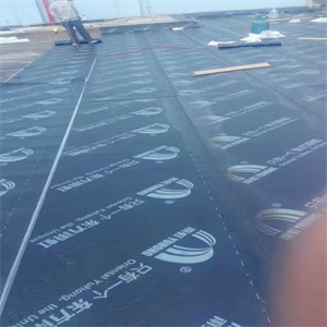 南寧樓頂水泥裂縫補(bǔ)漏 口碑良好的防水工程施工指南